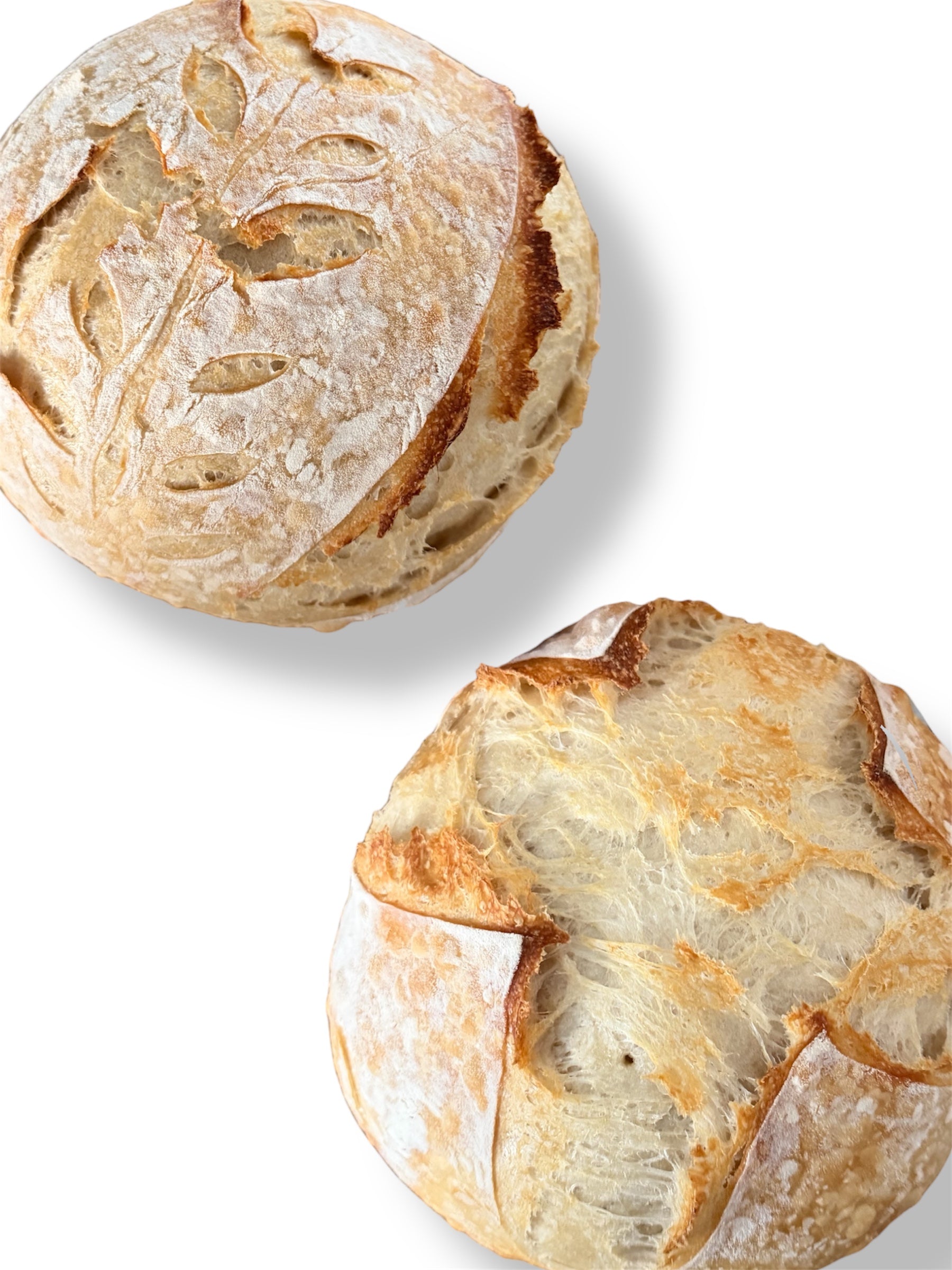 Sourdough