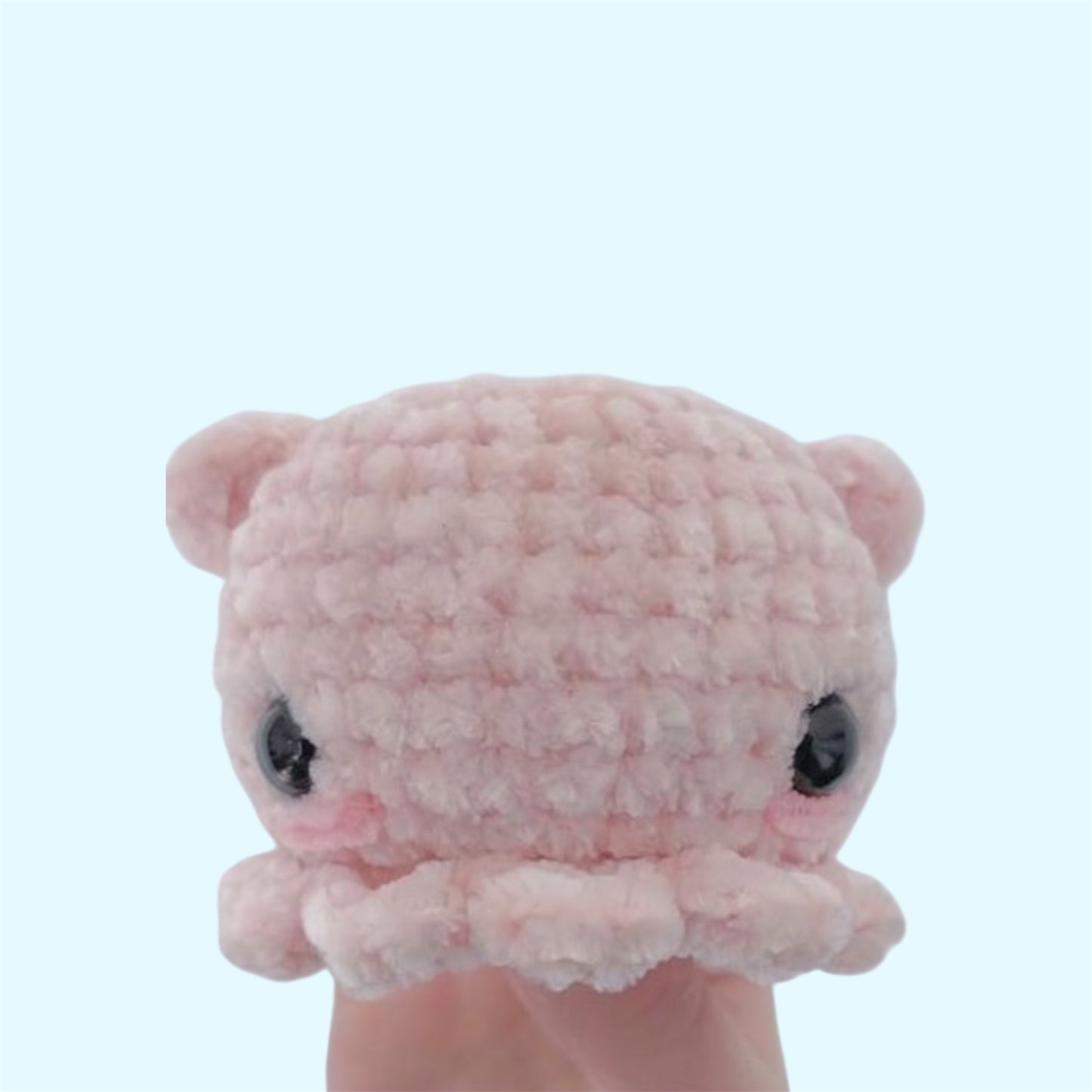 Cuddle fish